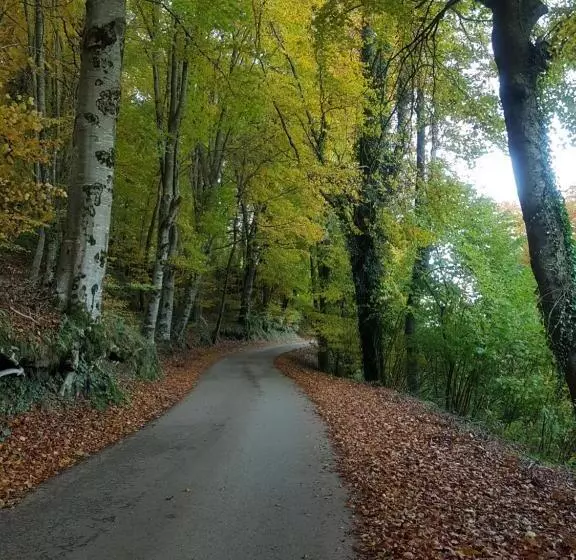 Hotel Santuari De La Salut De Sant Feliu De Pallerols