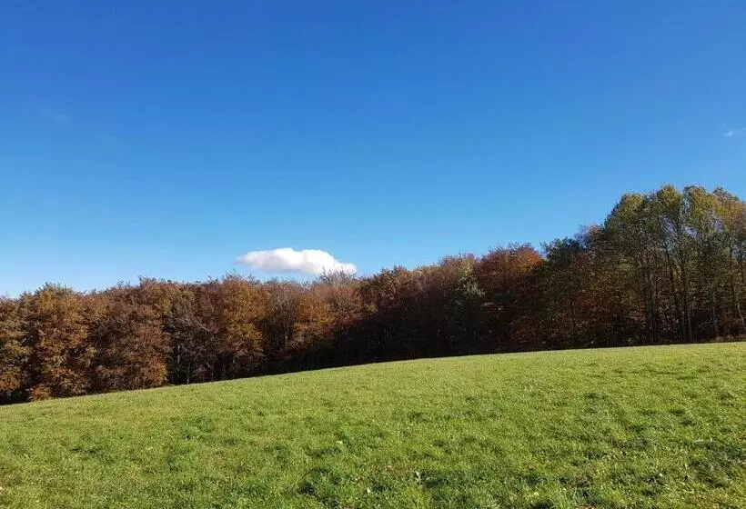 Hotel Santuari De La Salut De Sant Feliu De Pallerols