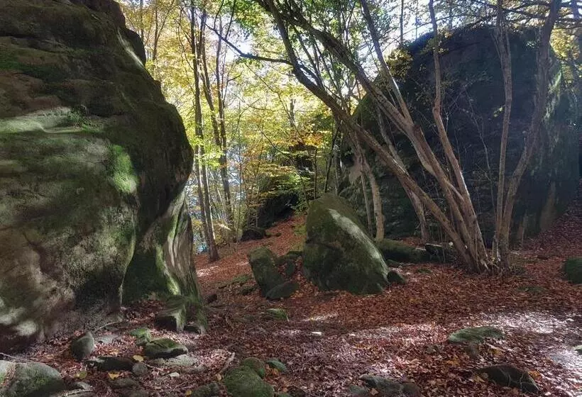 Hotel Santuari De La Salut De Sant Feliu De Pallerols