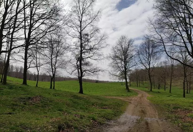 Hotel Santuari De La Salut De Sant Feliu De Pallerols
