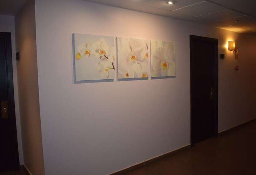 Отель Hostal La Bamba