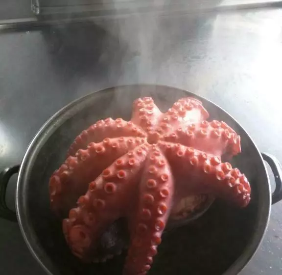 ペンション Hostal San Paio