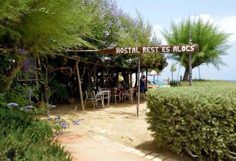 Hotel Hostal Alocs