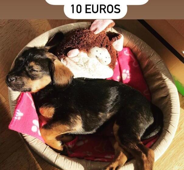 مسافرخانه Vázquez De Mella Gran Vía