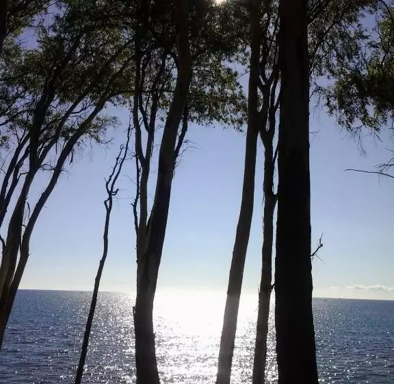 Отель Hostal Enriqueta