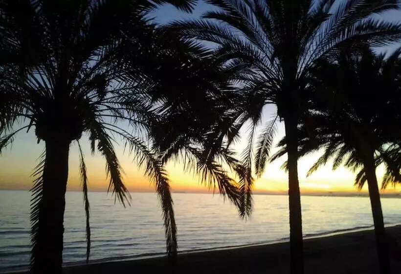 Отель Hostal Enriqueta