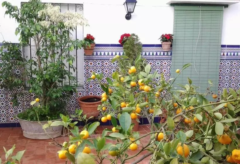 Отель Hostal Enriqueta