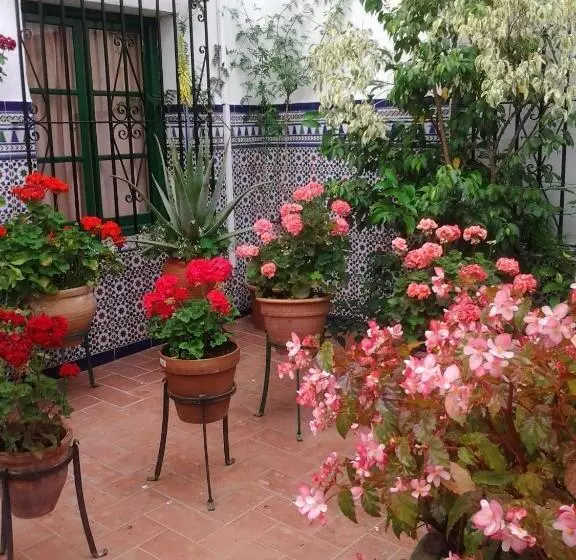 Отель Hostal Enriqueta