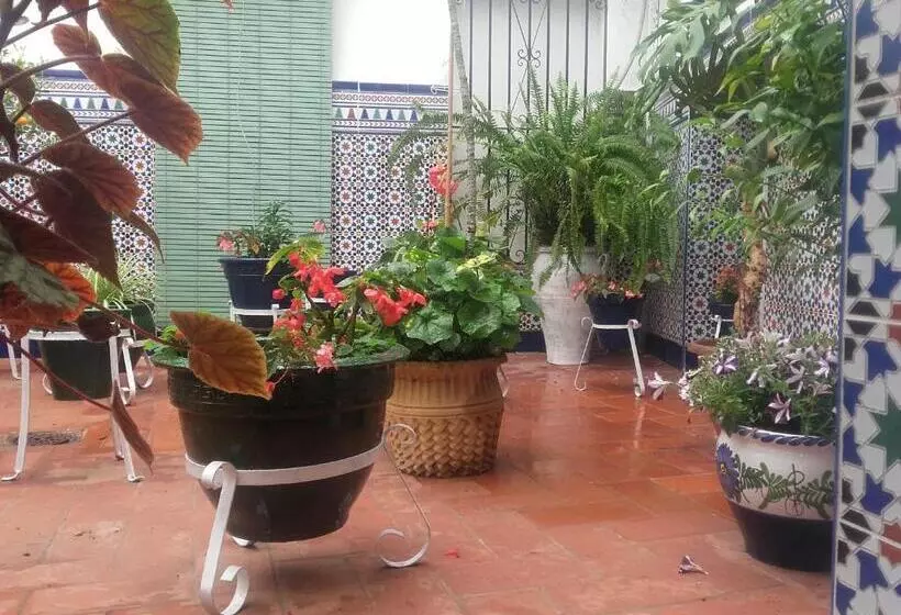 Отель Hostal Enriqueta