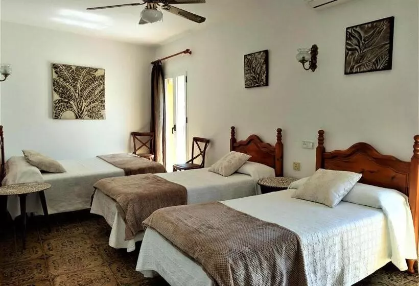 Отель Hostal Enriqueta