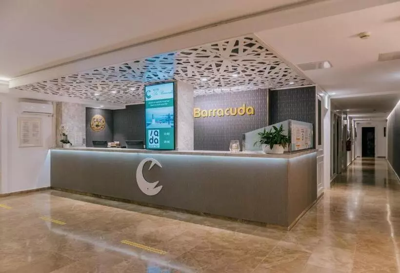 酒店 La Barracuda