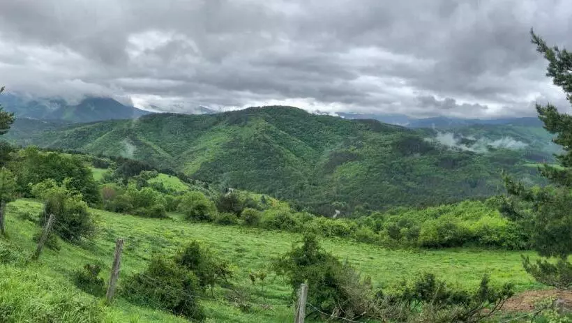 Отель Rural Besaro Selva De Irati