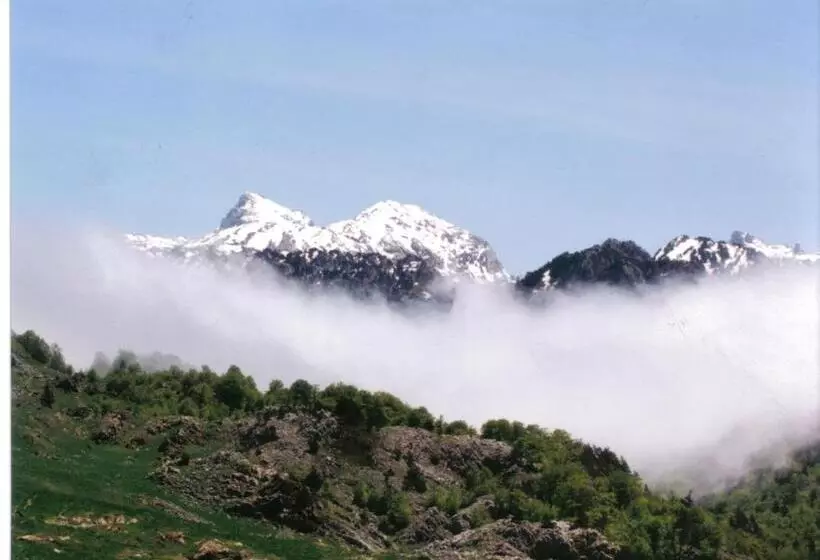 Отель Rural Besaro Selva De Irati
