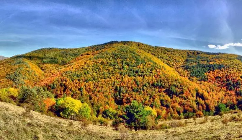 Отель Rural Besaro Selva De Irati