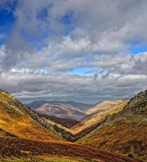 Отель Rural Besaro Selva De Irati