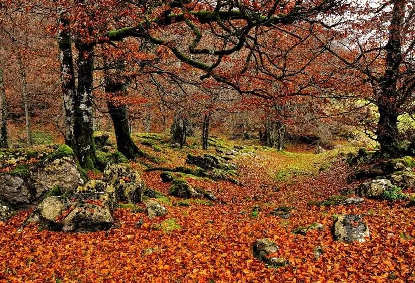 Отель Rural Besaro Selva De Irati