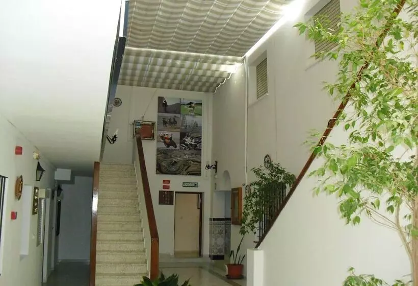 Hôtel El Faisan C&r