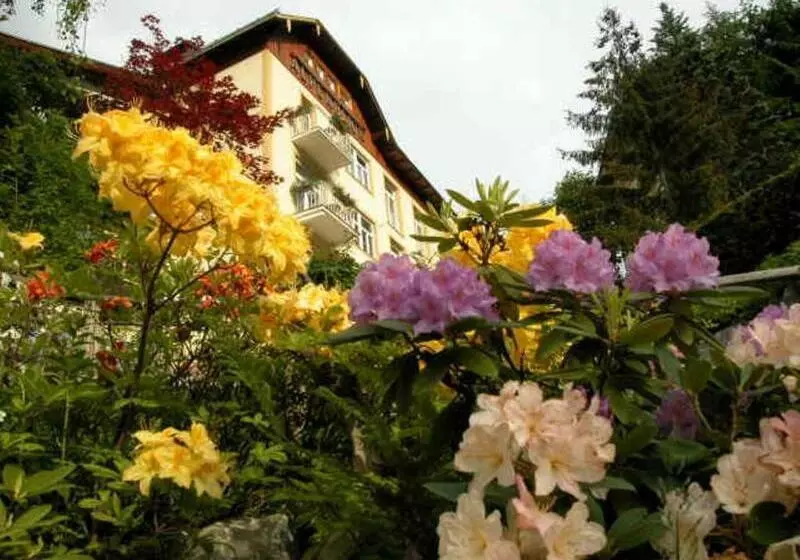 Отель Alpenblick