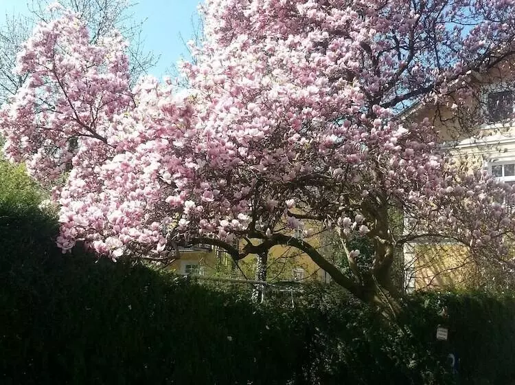 هتل Hohenstauffen