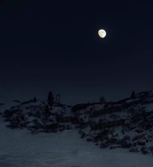 Отель Zürserhof