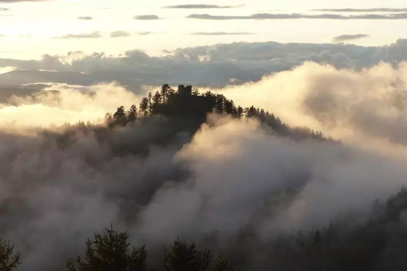 منتجع Biolandhaus Arche