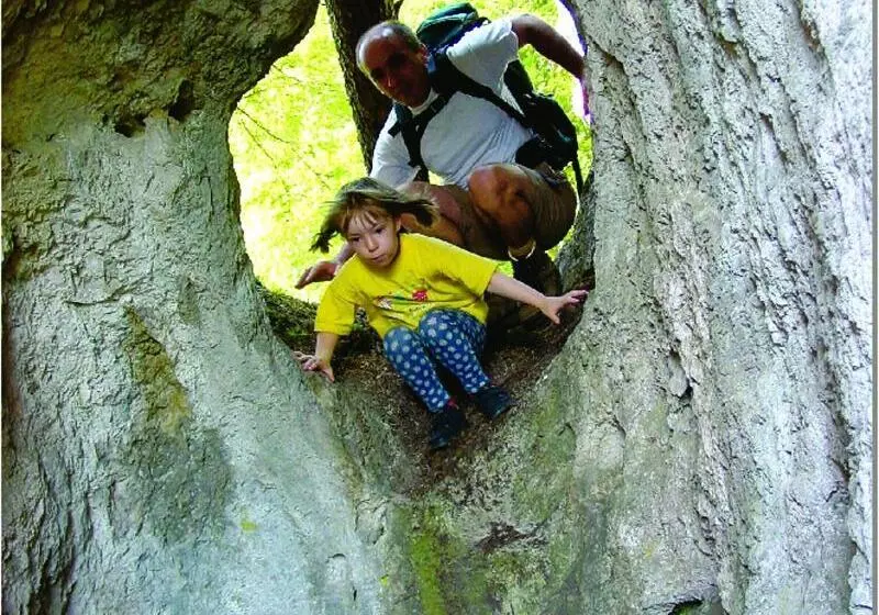 منتجع Biolandhaus Arche