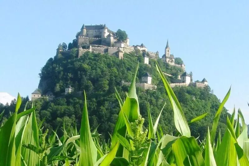 منتجع Biolandhaus Arche