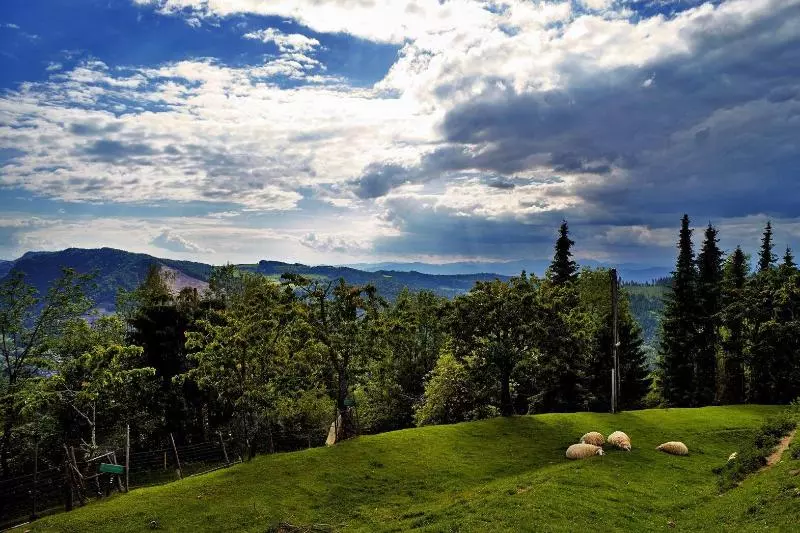 منتجع Biolandhaus Arche