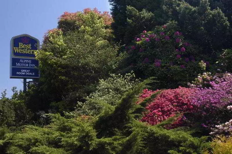 בית מלון כפרי Alpine Motor Inn