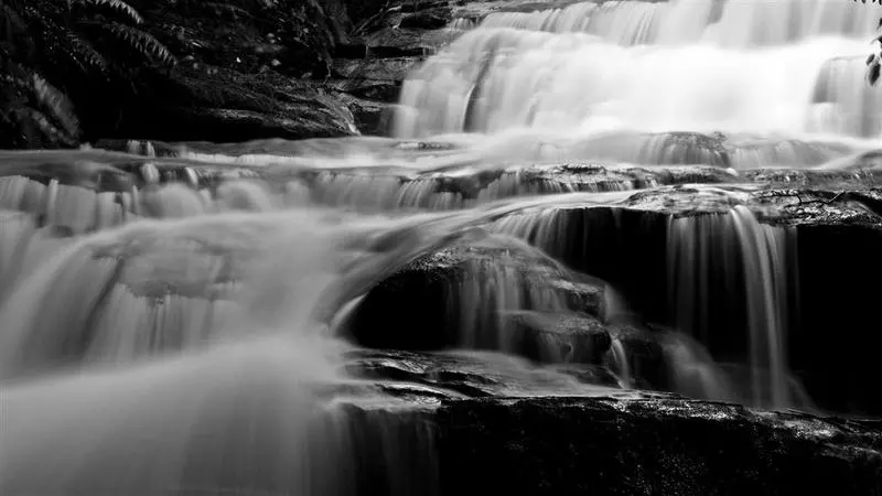 בית מלון כפרי Alpine Motor Inn