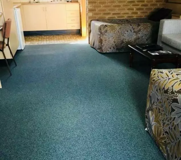 酒店 Arcadia Motor Inn