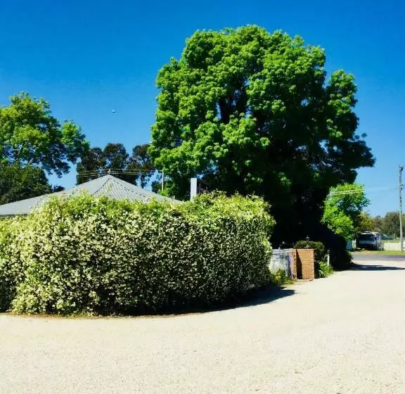 酒店 Arcadia Motor Inn