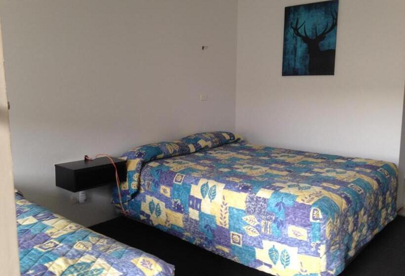 ホテル Casino Motor Inn