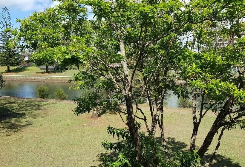 Отель Palm Court Motor Inn