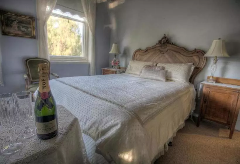 酒店 The Steampacket Inn