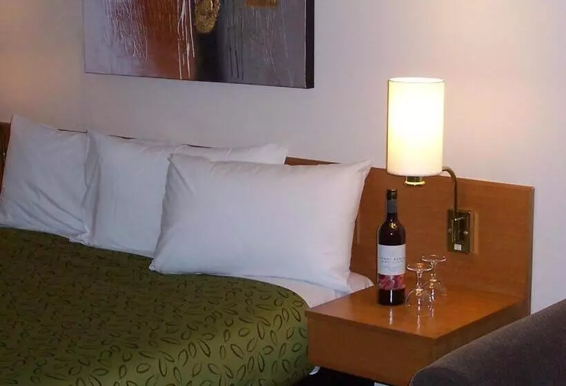 ホテル Hermitage Motor Inn