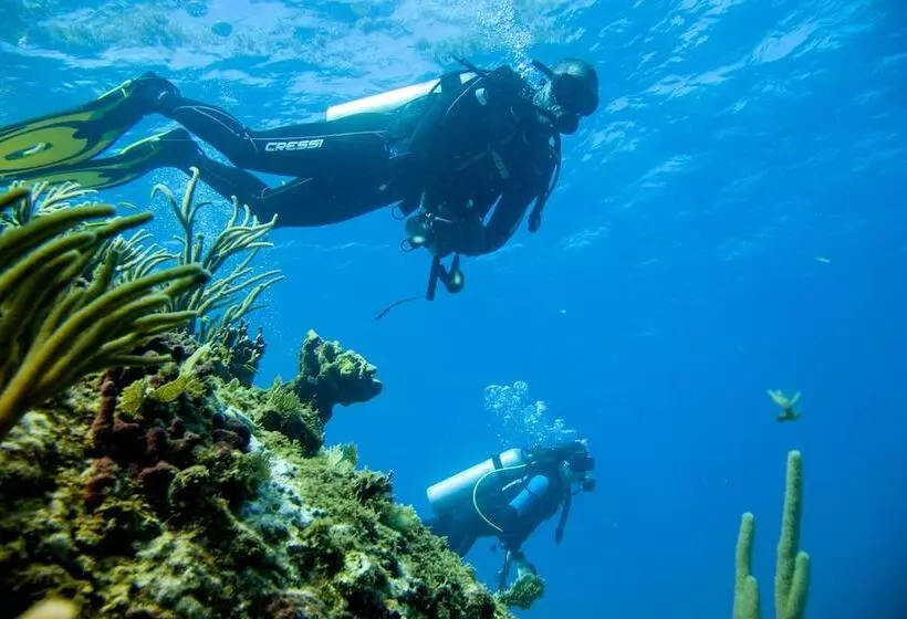 Hotel St. James S Club Resort All Inclusive