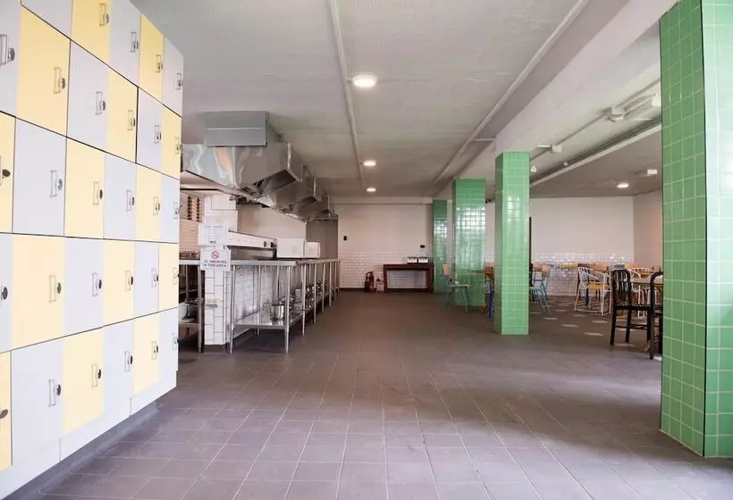 渡假胜地 Bunk Surfers Paradise International Backpacker Hostel