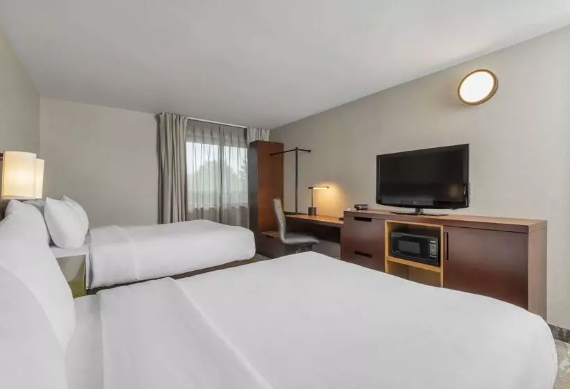 ホテル Comfort Inn