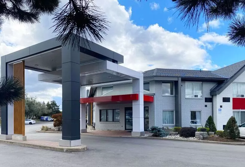 ホテル Comfort Inn