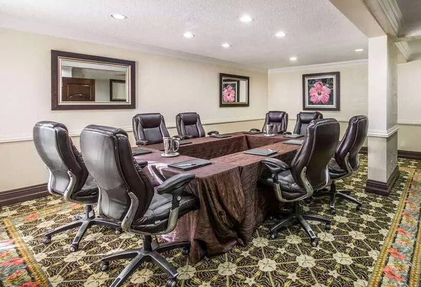 هتل Comfort Suites Paradise Island