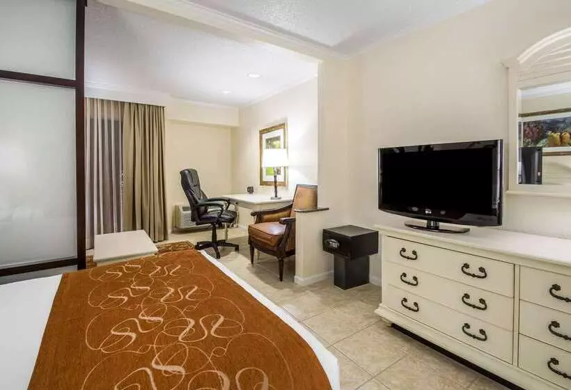 هتل Comfort Suites Paradise Island