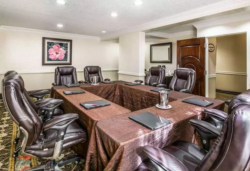 هتل Comfort Suites Paradise Island