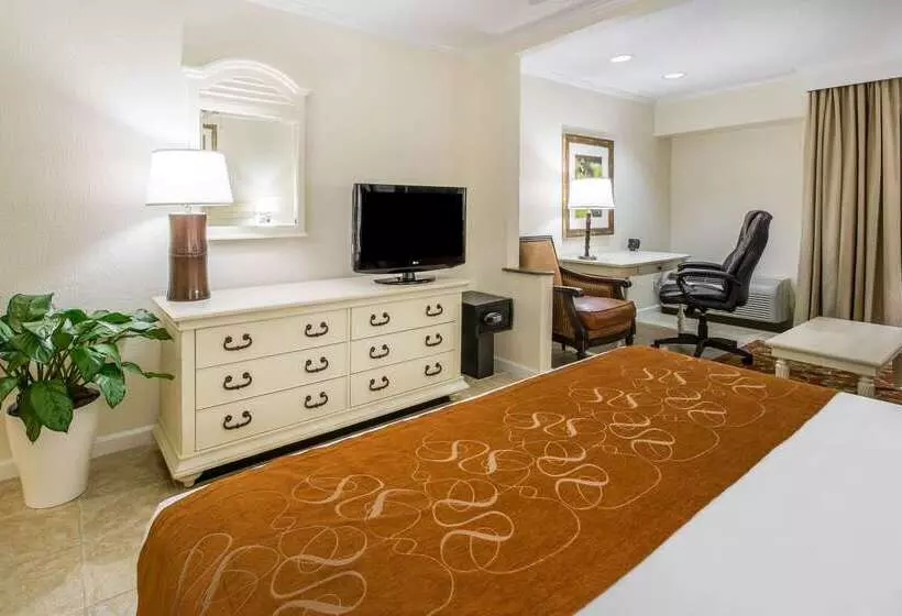 هتل Comfort Suites Paradise Island