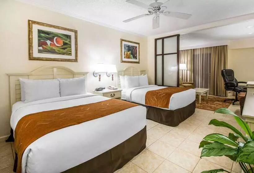 هتل Comfort Suites Paradise Island