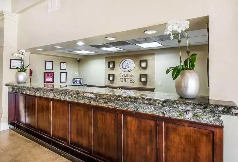 هتل Comfort Suites Paradise Island