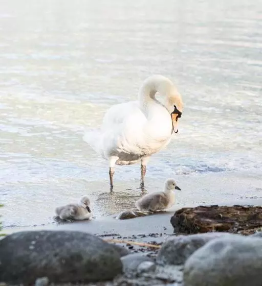 Szálloda Castello Del Sole Beach Resort&spa