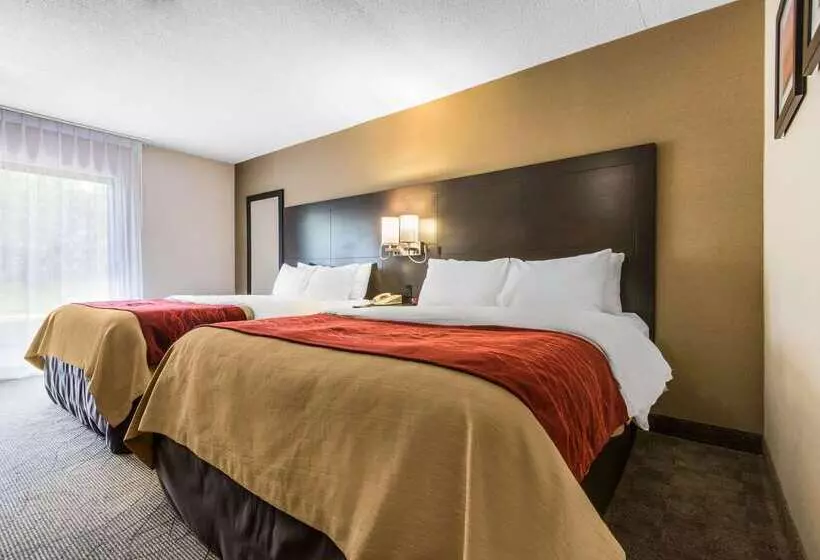 ホテル Comfort Inn