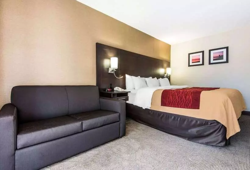 ホテル Comfort Inn