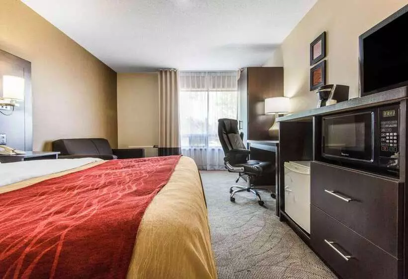 ホテル Comfort Inn